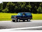 Thumbnail Photo 62 for 1989 Ford Bronco